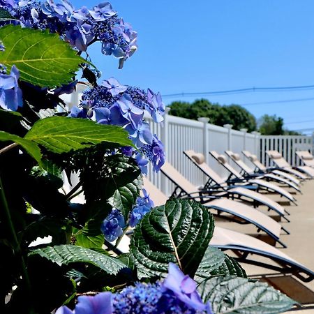 Sea View Motel Ogunquit Exteriör bild