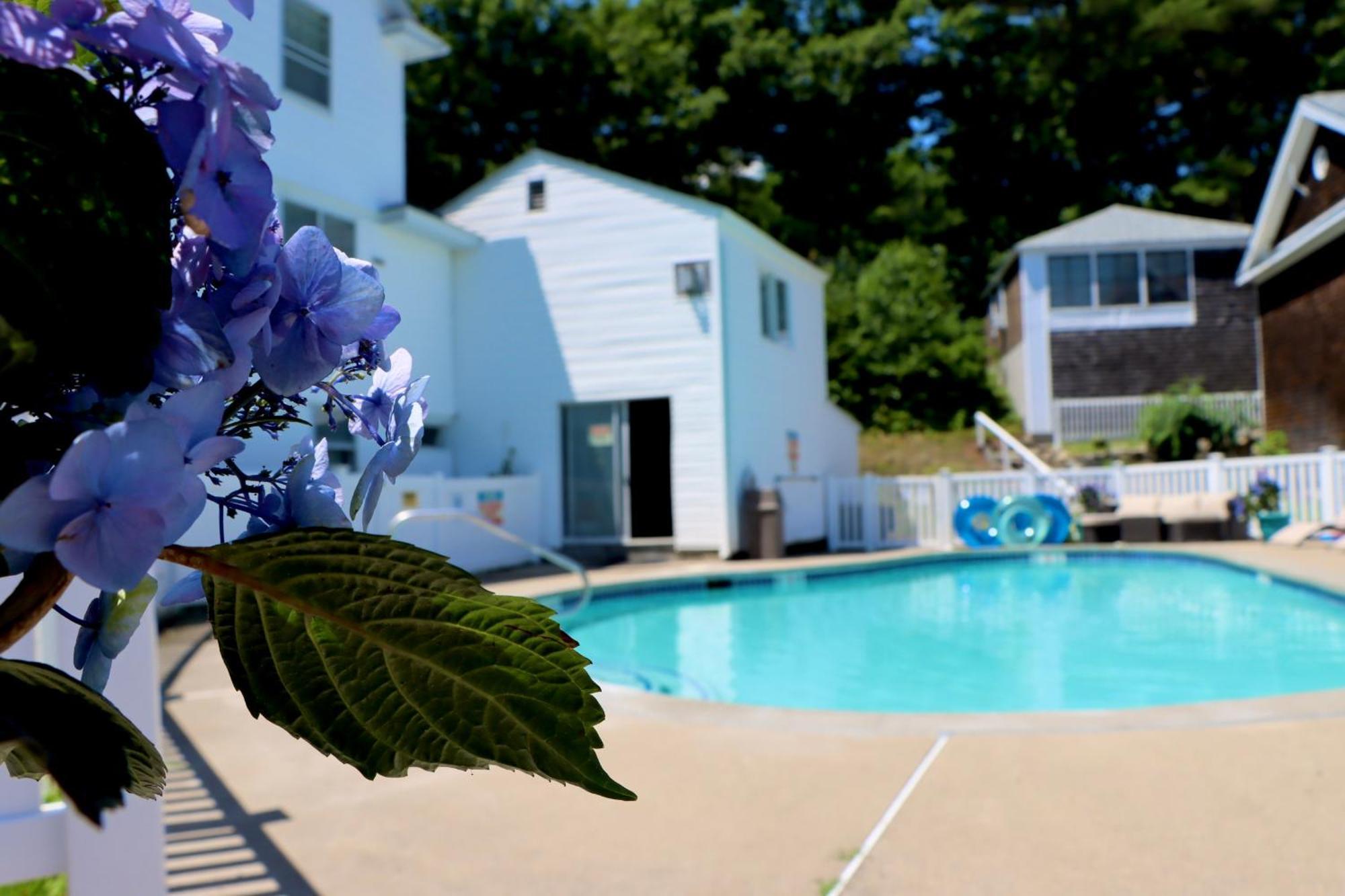 Sea View Motel Ogunquit Exteriör bild